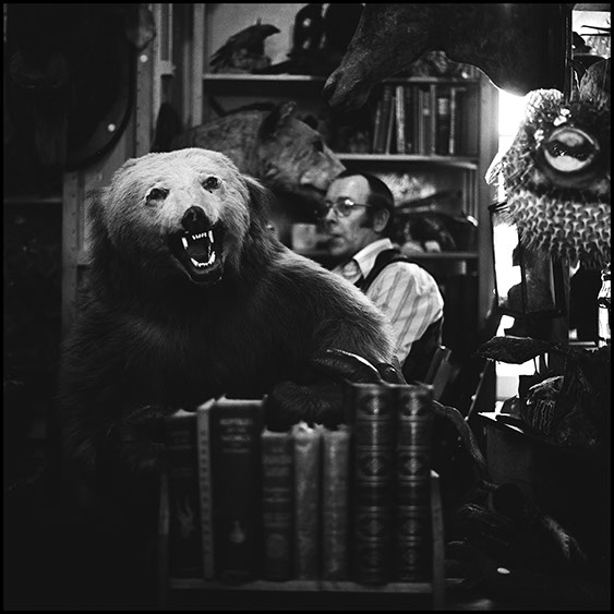 Taxidermist, Portobello Road